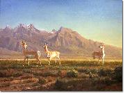 Albert Bierstadt Prong-Horned Antelope USA oil painting artist